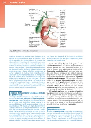Anatomía Clínica Pró.pdf
