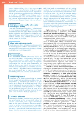 Anatomía Clínica Pró.pdf