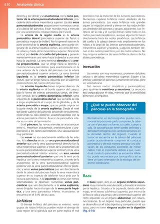 Anatomía Clínica Pró.pdf
