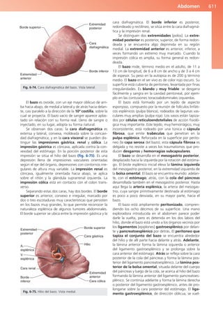 Anatomía Clínica Pró.pdf