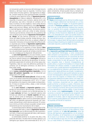 Anatomía Clínica Pró.pdf