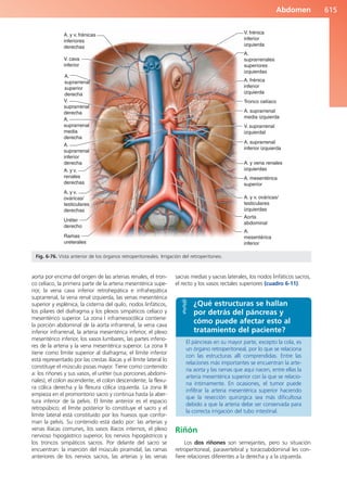 Anatomía Clínica Pró.pdf