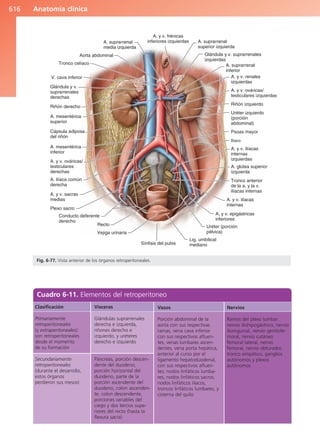 Anatomía Clínica Pró.pdf