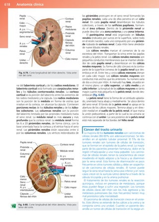 Anatomía Clínica Pró.pdf