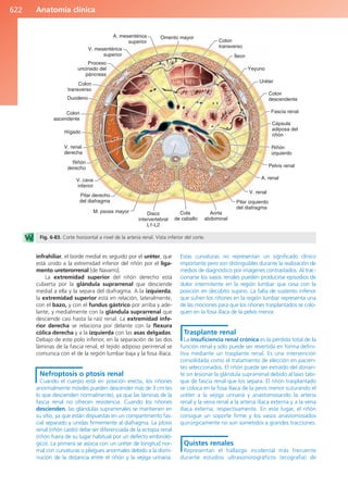 Anatomía Clínica Pró.pdf