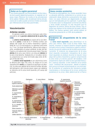 Anatomía Clínica Pró.pdf