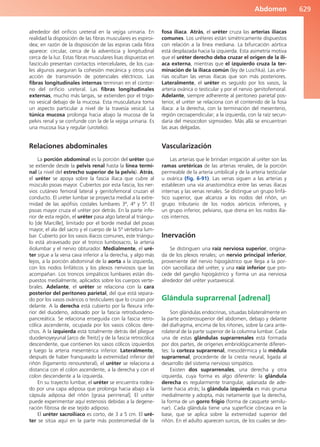 Anatomía Clínica Pró.pdf