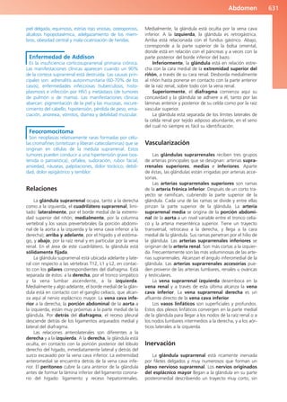 Anatomía Clínica Pró.pdf