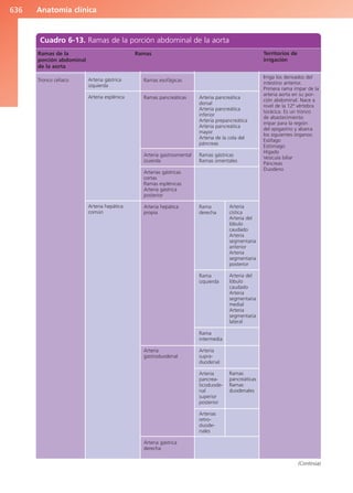 Anatomía Clínica Pró.pdf
