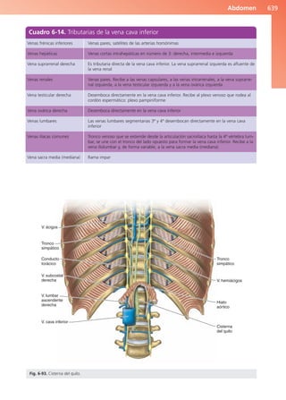 Anatomía Clínica Pró.pdf
