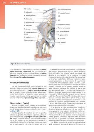 Anatomía Clínica Pró.pdf