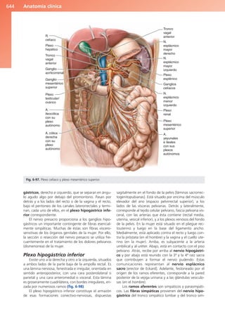 Anatomía Clínica Pró.pdf