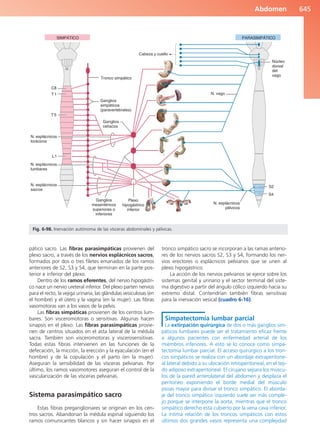 Anatomía Clínica Pró.pdf