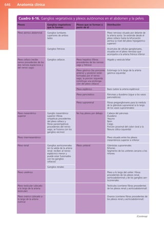 Anatomía Clínica Pró.pdf