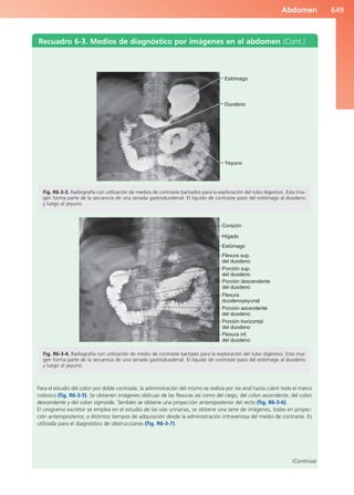 Anatomía Clínica Pró.pdf