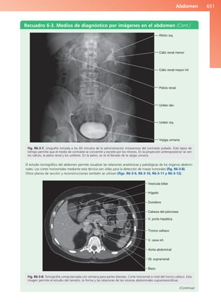 Anatomía Clínica Pró.pdf