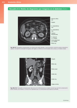 Anatomía Clínica Pró.pdf