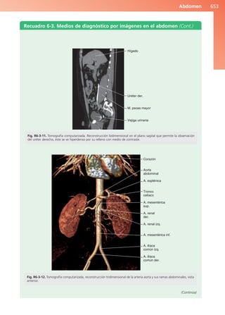 Anatomía Clínica Pró.pdf
