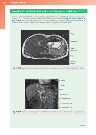Anatomía Clínica Pró.pdf