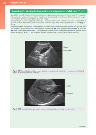 Anatomía Clínica Pró.pdf