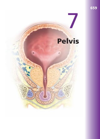 Anatomía Clínica Pró.pdf