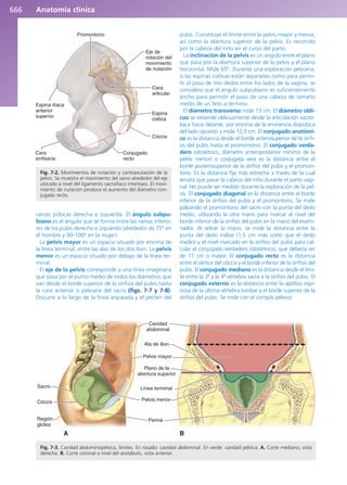 Anatomía Clínica Pró.pdf
