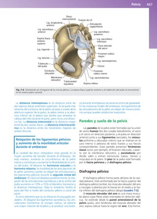 Anatomía Clínica Pró.pdf