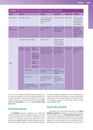 Anatomía Clínica Pró.pdf