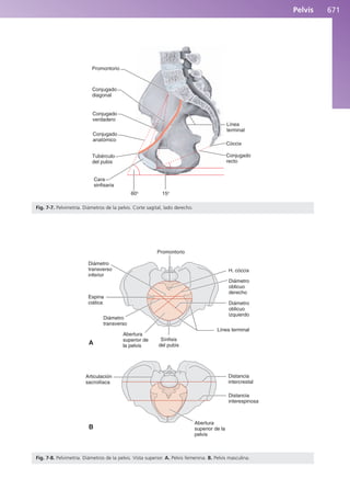 Anatomía Clínica Pró.pdf