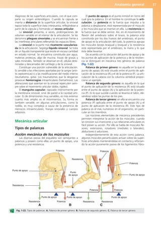 Anatomía general 37
tilaginoso de las superficies articulares, con el que com-
parte su origen embriológico. Cuando la cápsula se
inserta a distancia de la superficie articular, la sinovial
tapiza toda la superficie ósea interpuesta, reflejándose a
partir de la cápsula y formando un receso articular.
La sinovial presenta, a veces, prolongaciones de
volumen variable en el interior de la articulación. Se las
denomina pliegues sinoviales y se encuentran frente a
las interlíneas articulares rellenando los espacios libres.
La sinovial es la parte más ricamente vasculariza-
da de la articulación. Segrega líquido sinovial. Se trata
de un líquido transparente que existe en escasa cantidad
en estado normal. Se encuentra constituido por agua,
materias proteicas, algo de mucina, trazas de grasas y
sales minerales. También se observan en él, células dete-
rioradas y descamadas del cartílago y de la sinovial.
Constituye una porción vulnerable de la articulación.
Es sensible a las infecciones aportadas por la sangre (artri-
tis septicémicas) o a las modificaciones del medio interno
(reumatismo, gota). Los traumatismos que la desgarran
provocan hemorragias intraarticulares (hemartrosis). Las
alteraciones que asientan en la sinovial repercuten siem-
pre sobre el movimiento articular (dolor, rigidez).
El manguito capsular, tapizado interiormente por
la membrana sinovial, sirve de pared a la cavidad arti-
cular. Es de dimensiones muy variables, es más extenso
cuanto más amplio es el movimientos. Su forma es
también variable; en algunas articulaciones, como la
rodilla, es muy compleja a causa de la presencia de
meniscos intraarticulares, franjas sinoviales y cuerpos
adiposos.
Mecánica articular
Tipos de palancas
Acción mecánica de los músculos
Las diversas piezas del esqueleto son semejantes a
palancas y poseen como ellas un punto de apoyo, una
potencia y una resistencia.
El punto de apoyo es el punto inmóvil en torno del
cual gira la palanca. En el hombre lo constituye la arti-
culación. La potencia es la fuerza que impulsa a la
palanca a desplazarse, está representada por el músculo
o los músculos que se insertan en ella. La resistencia es
la fuerza que se debe vencer. Así, en el movimiento de
flexión del antebrazo sobre el brazo, la palanca está
constituida por los dos huesos del antebrazo, el punto
de apoyo es la articulación del codo, la potencia agrupa
los músculos bíceps braquial y braquial y la resistencia
está representada por el antebrazo, la mano y lo que
ésta debe levantar.
De acuerdo con la ubicación del punto de apoyo y de
los puntos de aplicación de la potencia y de la resisten-
cia se distinguen en mecánica tres géneros de palanca
(fig. 1-22):
Palanca de primer género: es aquella en la que el
punto de apoyo (A) está situado entre el punto de apli-
cación de la resistencia (R) y el de la potencia (P). La arti-
culación de la cabeza con la columna vertebral propor-
ciona un ejemplo.
Palanca de segundo género: es aquella en la que
el punto de aplicación de la resistencia (R) está situado
entre el punto de apoyo (A) y la aplicación de la poten-
cia (P). Es lo que sucede cuando se levanta el talón, ele-
vándose sobre las puntas de los pies.
Palanca de tercer género: en ella se encuentra una
potencia (P) aplicada entre el punto de apoyo (A) y el
punto de aplicación de la resistencia (R). Este tipo de
palanca es el más numeroso en el organismo, en parti-
cular en los miembros.
Las nociones elementales de mecánica precedentes
permiten interpretar la acción de los músculos: cuando
se conocen sus inserciones y sus relaciones articulares es
fácil prever su acción. Por ello se habla de músculos fle-
xores, extensores, rotadores (mediales o laterales),
abductores o aductores.
Independientemente de esta acción como palanca,
algunos músculos periarticulares actúan sobre las super-
ficies articulares manteniéndolas en contacto y reforzan-
do la acción puramente pasiva de los ligamentos fibro-
Punto de apoyo
Resistencia
Resistencia
Resistencia
Resistencia Resistencia
Resistencia
Potencia
Potencia
Potencia
Potencia
Potencia
Potencia
Punto de apoyo Punto de apoyo
Punto
de apoyo
Punto de apoyo
Punto de apoyo
A B C
Fig. 1-22. Tipos de palancas. A. Palanca de primer género. B. Palanca de segundo género. C. Palanca de tercer género.
b027-01.qxd 7/14/11 12:49 PM Page 37
ERRNVPHGLFRVRUJ
 