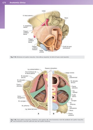 Anatomía Clínica Pró.pdf