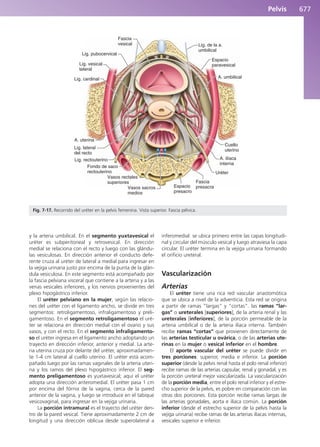 Anatomía Clínica Pró.pdf