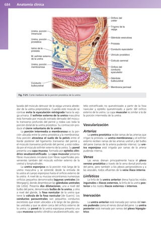 Anatomía Clínica Pró.pdf