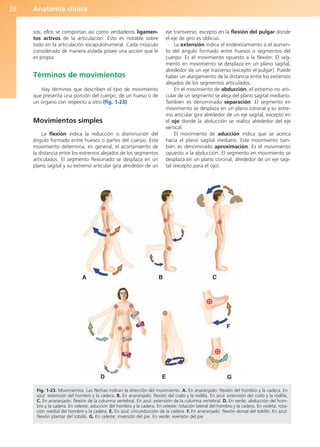 Anatomía clínica
38
sos; ellos se comportan así como verdaderos ligamen-
tos activos de la articulación. Esto es notable sobre
todo en la articulación escapulohumeral. Cada músculo
considerado de manera aislada posee una acción que le
es propia.
Términos de movimientos
Hay términos que describen el tipo de movimiento
que presenta una porción del cuerpo, de un hueso o de
un órgano con respecto a otro (fig. 1-23).
Movimientos simples
La flexión indica la reducción o disminución del
ángulo formado entre huesos o partes del cuerpo. Este
movimiento determina, en general, el acortamiento de
la distancia entre los extremos alejados de los segmentos
articulados. El segmento flexionado se desplaza en un
plano sagital y su extremo articular gira alrededor de un
eje transverso, excepto en la flexión del pulgar donde
el eje de giro es oblicuo.
La extensión indica el enderezamiento o el aumen-
to del ángulo formado entre huesos o segmentos del
cuerpo. Es el movimiento opuesto a la flexión. El seg-
mento en movimiento se desplaza en un plano sagital,
alrededor de un eje trasverso (excepto el pulgar). Puede
haber un alargamiento de la distancia entre los extremos
alejados de los segmentos articulados.
En el movimiento de abducción, el extremo no arti-
cular de un segmento se aleja del plano sagital mediano.
También es denominado separación. El segmento en
movimiento se desplaza en un plano coronal y su extre-
mo articular gira alrededor de un eje sagital, excepto en
el ojo donde la abducción se realiza alrededor del eje
vertical.
El movimiento de aducción indica que se acerca
hacia el plano sagital mediano. Este movimiento tam-
bién es denominado aproximación. Es el movimiento
opuesto a la abducción. El segmento en movimiento se
desplaza en un plano coronal, alrededor de un eje sagi-
tal (excepto para el ojo).
A
D E G
F
B C
Fig. 1-23. Movimientos. Las flechas indican la dirección del movimiento. A. En anaranjado: flexión del hombro y la cadera. En
azul: extensión del hombro y la cadera. B. En anaranjado: flexión del codo y la rodilla. En azul: extensión del codo y la rodilla.
C. En anaranjado: flexión de la columna vertebral. En azul: extensión de la columna vertebral. D. En verde: abducción del hom-
bro y la cadera. En celeste: aducción del hombro y la cadera. En celeste: rotación lateral del hombro y la cadera. En violeta: rota-
ción medial del hombro y la cadera. E. En azul: circunducción de la cadera. F. En anaranjado: flexión dorsal del tobillo. En azul:
flexión plantar del tobillo. G. En celeste: inversión del pie. En verde: eversión del pie.
b027-01.qxd 7/14/11 12:49 PM Page 38
ERRNVPHGLFRVRUJ
 