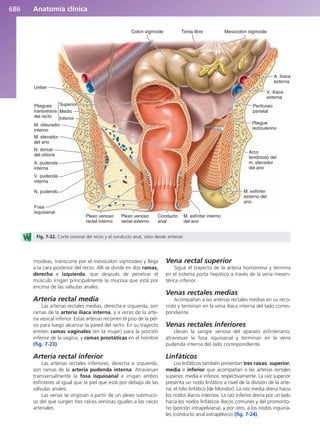 Anatomía Clínica Pró.pdf