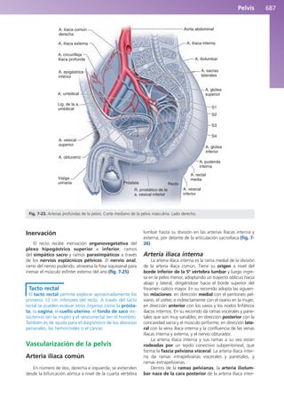 Anatomía Clínica Pró.pdf