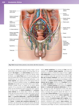 Anatomía Clínica Pró.pdf
