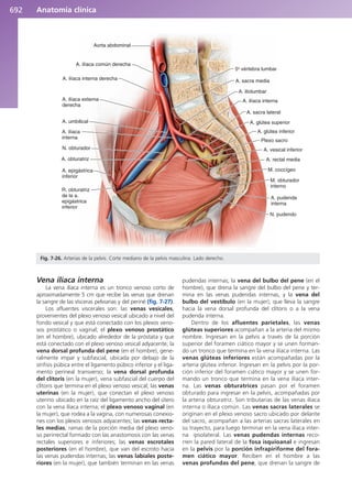 Anatomía Clínica Pró.pdf
