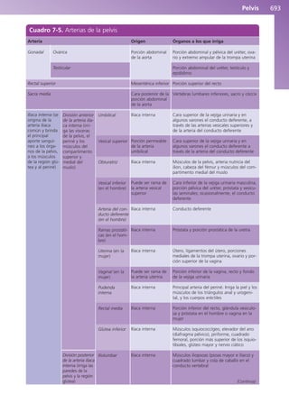 Anatomía Clínica Pró.pdf