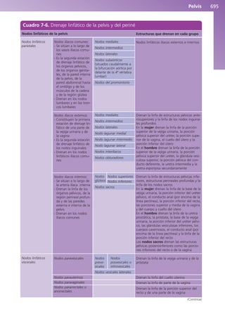 Anatomía Clínica Pró.pdf