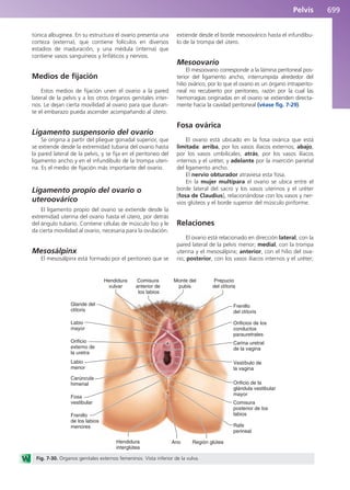Anatomía Clínica Pró.pdf