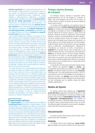 Anatomía Clínica Pró.pdf