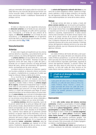 Anatomía Clínica Pró.pdf
