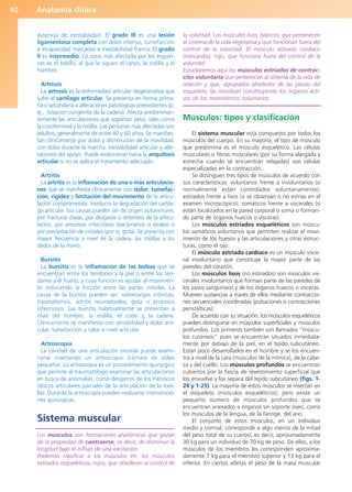 Anatomía clínica
40
ausencia de inestabilidad. El grado III es una lesión
ligamentosa completa con dolor intenso, tumefacción
e incapacidad marcadas e inestabilidad franca. El grado
II es intermedio. La zona más afectada por los esguin-
ces es el tobillo, al que le siguen el carpo, la rodilla y el
hombro.
Artrosis
La artrosis es la enfermedad articular degenerativa que
sufre el cartílago articular. Se presenta en forma prima-
ria o secundaria a alteraciones patológicas preexistentes (p.
ej., luxación congénita de la cadera). Afecta predominan-
temente las articulaciones que soportan peso, tales como
la coxofemoral y la rodilla. Las personas más afectadas son
adultos, generalmente de entre 40 y 60 años. Se manifies-
tan clínicamente por dolor y disminución de la movilidad,
con dolor durante la marcha, inestabilidad articular y alte-
raciones del apoyo. Puede evolucionar hacia la anquilosis
articular si no se aplica el tratamiento adecuado.
Artritis
La artritis es la inflamación de una o más articulacio-
nes que se manifiesta clínicamente con dolor, tumefac-
ción, rigidez y limitación del movimiento de la articu-
lación comprometida. Involucra la degradación del cartíla-
go articular. Sus causas pueden ser de origen autoinmune,
por fracturas óseas, por desgaste o deterioro de la articu-
lación, por procesos infecciosos (bacterianos o virales) o
por precipitación de cristales (por ej. gota). Se presenta con
mayor frecuencia a nivel de la cadera, las rodillas y los
dedos de la mano.
Bursitis
La bursitis es la inflamación de las bolsas que se
encuentran entre los tendones y la piel o entre los ten-
dones y el hueso, y cuya función es ayudar al movimien-
to reduciendo la fricción entre las partes móviles. La
causa de la bursitis pueden ser: sobrecargas crónicas,
traumatismos, artritis reumatoidea, gota o procesos
infecciosos. Las bursitis habitualmente se presentan a
nivel del hombro, la rodilla, el codo y la cadera.
Clínicamente se manifiesta con sensibilidad y dolor arti-
cular, tumefacción y calor a nivel articular.
Artroscopia
La cavidad de una articulación sinovial puede exami-
narse insertando un artroscopio (cámara de vídeo
pequeña). La artroscopia es un procedimiento quirúrgico
que permite al traumatólogo examinar las articulaciones
en busca de anomalías, como desgarros de los meniscos
(discos articulares parciales de la articulación de la rodi-
lla). Durante la artroscopia pueden realizarse intervencio-
nes quirúrgicas.
Sistema muscular
Los músculos son formaciones anatómicas que gozan
de la propiedad de contraerse, es decir, de disminuir la
longitud bajo el influjo de una excitación.
Podemos clasificar a los músculos en: los músculos
estriados esqueléticos, rojos, que obedecen al control de
la voluntad. Los músculos lisos, blancos, que pertenecen
al sistema de la vida vegetativa y que funcionan fuera del
control de la voluntad. El músculo estriado cardíaco
(miocardio), rojo, que funciona fuera del control de la
voluntad.
Estudiaremos aquí los músculos estriados de contrac-
ción voluntaria que pertenecen al sistema de la vida de
relación y que, agrupados alrededor de las piezas del
esqueleto, las movilizan constituyendo los órganos acti-
vos de los movimientos voluntarios.
Músculos: tipos y clasificación
El sistema muscular está compuesto por todos los
músculos del cuerpo. En su mayoría, el tipo de músculo
que predomina es el músculo esquelético. Las células
musculares o fibras musculares (por su forma alargada y
estrecha cuando se encuentran relajadas) son células
especializadas en la contracción.
Se distinguen tres tipos de músculos de acuerdo con
sus características: voluntarios frente a involuntarios (si
normalmente están controlados voluntariamente);
estriados frente a lisos (si se observan o no estrías en el
examen microscópico); somáticos frente a viscerales (si
están localizados en la pared corporal o soma o forman-
do parte de órganos huecos o vísceras).
Los músculos estriados esqueléticos son múscu-
los somáticos voluntarios que permiten realizar el movi-
miento de los huesos y las articulaciones y otras estruc-
turas, como el ojo.
El músculo estriado cardíaco es un músculo visce-
ral involuntario que constituye la mayor parte de las
paredes del corazón.
Los músculos lisos (no estriados) son músculos vis-
cerales involuntarios que forman parte de las paredes de
los vasos sanguíneos y de los órganos huecos o vísceras.
Mueven sustancias a través de ellos mediante contraccio-
nes secuenciales coordinadas (pulsaciones o contracciones
peristálticas).
De acuerdo con su situación, los músculos esqueléticos
pueden distinguirse en músculos superficiales y músculos
profundos. Los primeros también son llamados “múscu-
los cutáneos” pues se encuentran situados inmediata-
mente por debajo de la piel, en el tejido subcutáneo.
Están poco desarrollados en el hombre y se los encuen-
tra a nivel de la cara (músculos de la mímica), de la cabe-
za y del cuello. Los músculos profundos se encuentran
cubiertos por la fascia de revestimiento superficial que
los envuelve y los separa del tejido subcutáneo (figs. 1-
24 y 1-25). La mayoría de estos músculos se insertan en
el esqueleto (músculos esqueléticos), pero existe un
pequeño número de músculos profundos que se
encuentran anexados a órganos sin soporte óseo, como
los músculos de la lengua, de la faringe, del ano.
El conjunto de estos músculos, en un individuo
medio y normal, corresponde a algo menos de la mitad
del peso total de su cuerpo, es decir, aproximadamente
30 kg para un individuo de 70 kg de peso. De ellos, a los
músculos de los miembros les corresponden aproxima-
damente 7 kg para el miembro superior y 13 kg para el
inferior. En ciertos atletas el peso de la masa muscular
b027-01.qxd 7/14/11 12:49 PM Page 40
ERRNVPHGLFRVRUJ
 