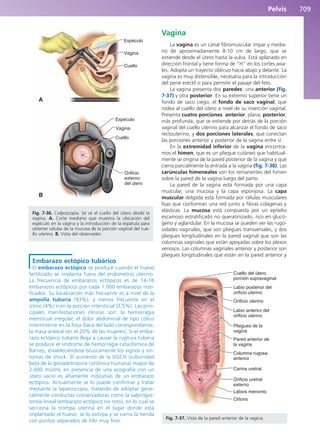 Anatomía Clínica Pró.pdf