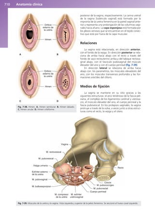 Anatomía Clínica Pró.pdf