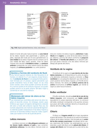 Anatomía Clínica Pró.pdf