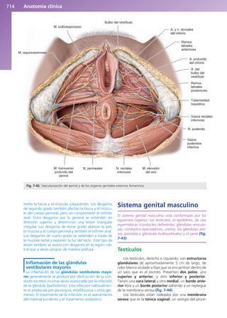 Anatomía Clínica Pró.pdf