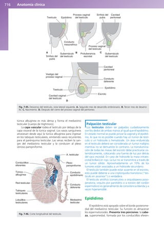 Anatomía Clínica Pró.pdf