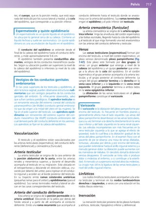 Anatomía Clínica Pró.pdf